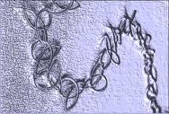 Links